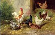 unknow artist poultry  127 oil painting on canvas